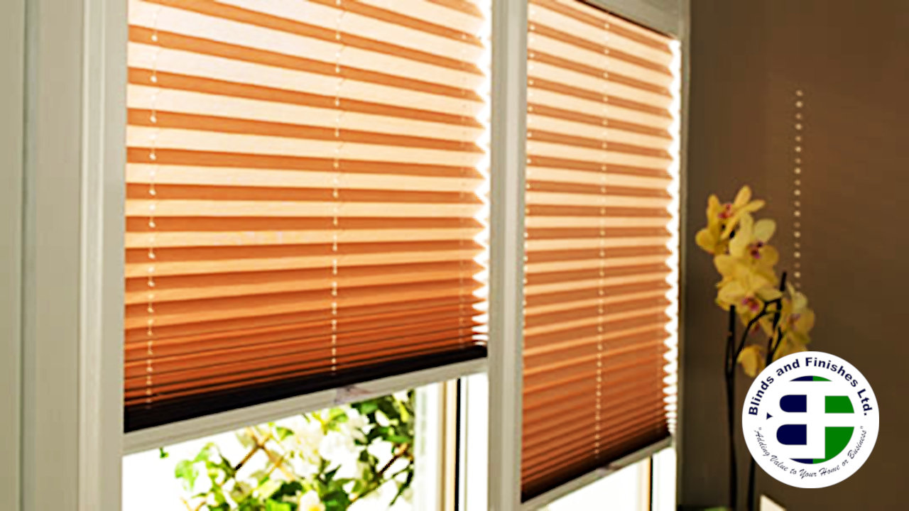 blindstt-pleated-blinds-001.jpg